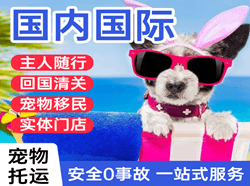 承德普宁机场邮寄国际宠物托运 【国